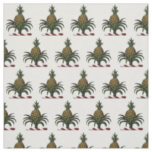 Tela Color de la Cresta de Piña Heraldica Preppy WT