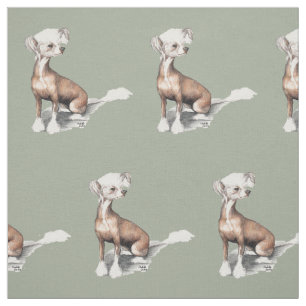 Tela con cresta china del arte del perro que se
