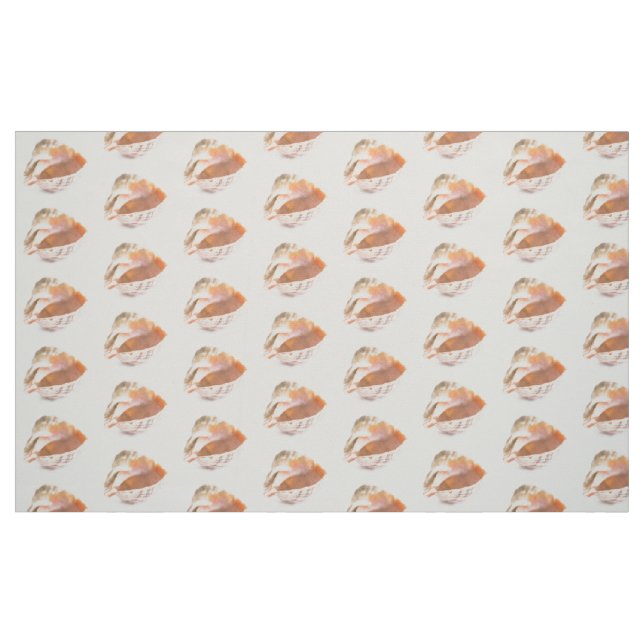 Tela Concha ("Cuarto gordo" (fat quarter))