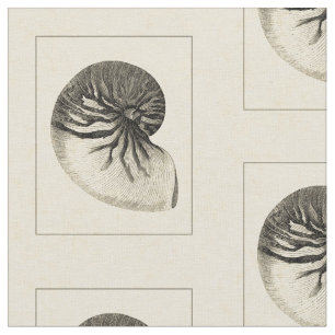 Tela Concha blanco y negro Shell del vintage