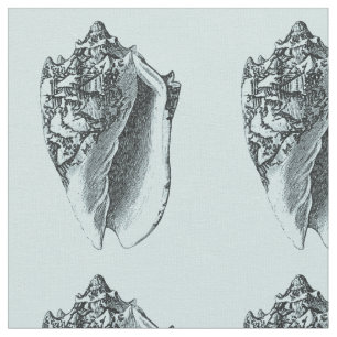 Tela Concha Shell de la aguamarina