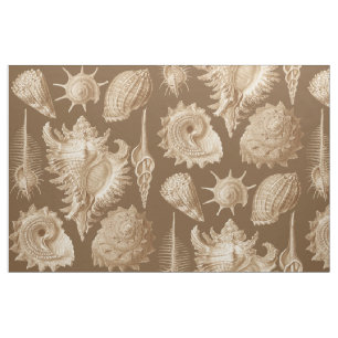 Tela Conchas Antiguas Vintage