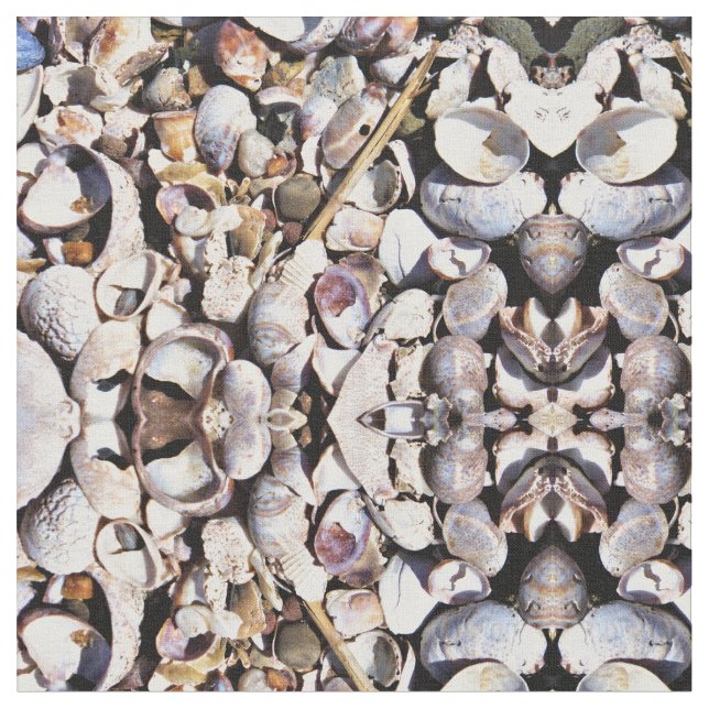 Tela - conchas marinas (De cerca)