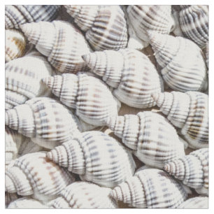 Tela conchas marinas