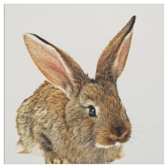 Tela Conejo lindo (Retal)