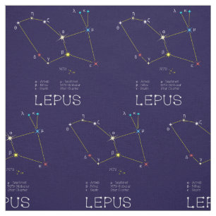 Tela Constelación De Lepus O Conejo De Estrellas