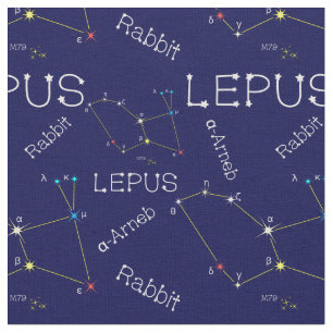 Tela Constelación del hemisferio sur Lepus