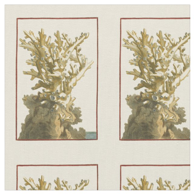 Tela Coral junto al mar (De cerca)