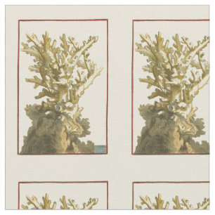 Tela Coral por el mar