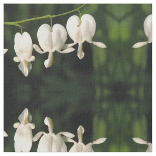 Tela Corazón sangrante blanco