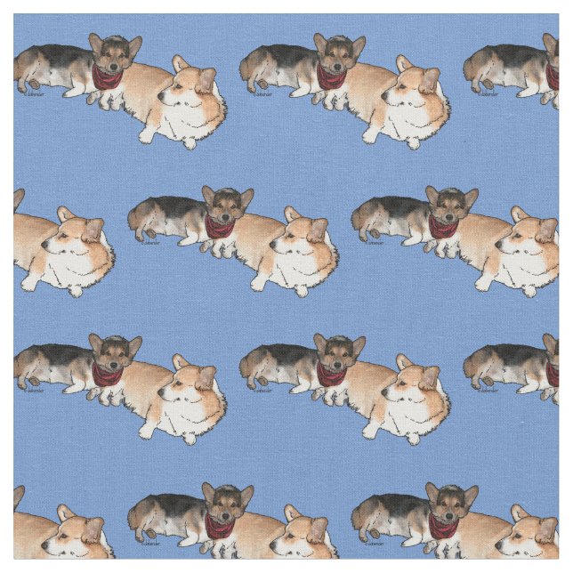 Tela Corgis galeses (De cerca)