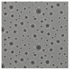 Tela Coronavirus - Gris