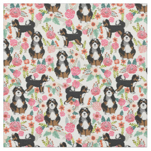 Tela Crema de bernedoodle