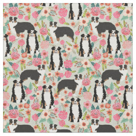 Tela Crema de florines para perros australianos tricolo