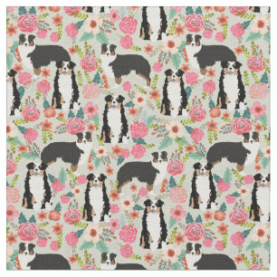 Tela Crema de florines para perros australianos tricolo