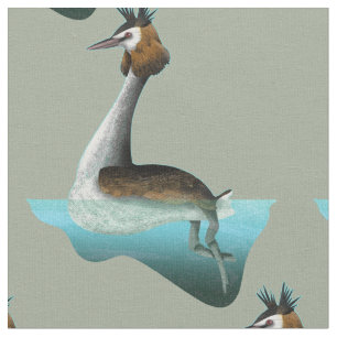 Tela Crested Grebe