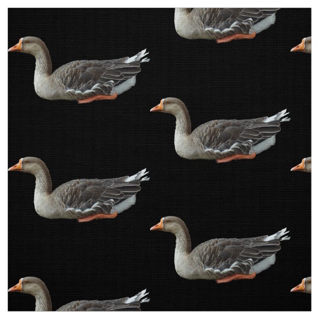 Tela Cruz de ganso cisne de Greylag (Retal)