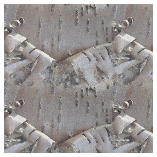 Tela Curly Birch Bark Tree Rustic (De cerca)