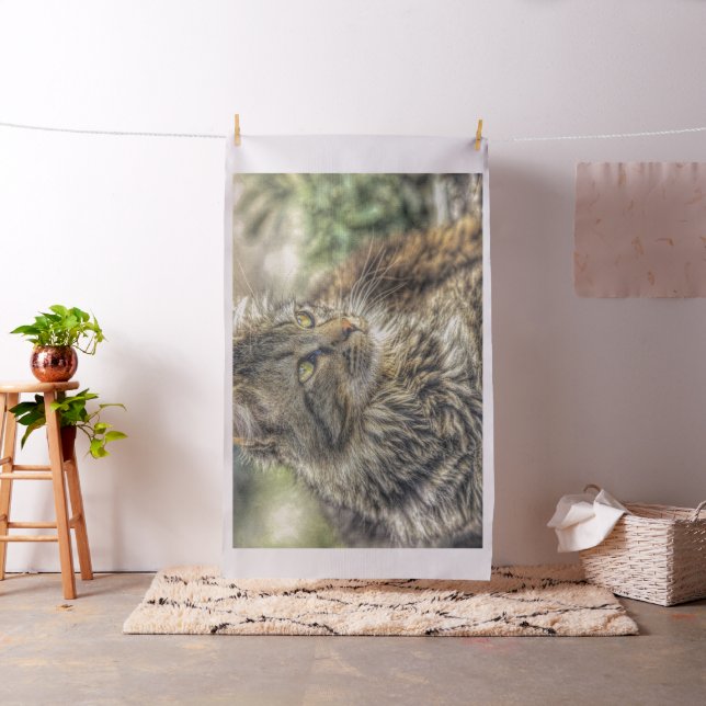 Tela Cute Cat Collection 10 (In Situ)
