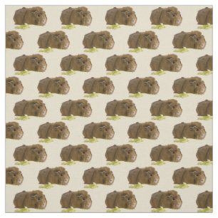 Tela Cute Ginger Guinea Cerdo Fotación de apio