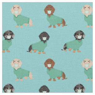 Tela Dachshund en Scrubs