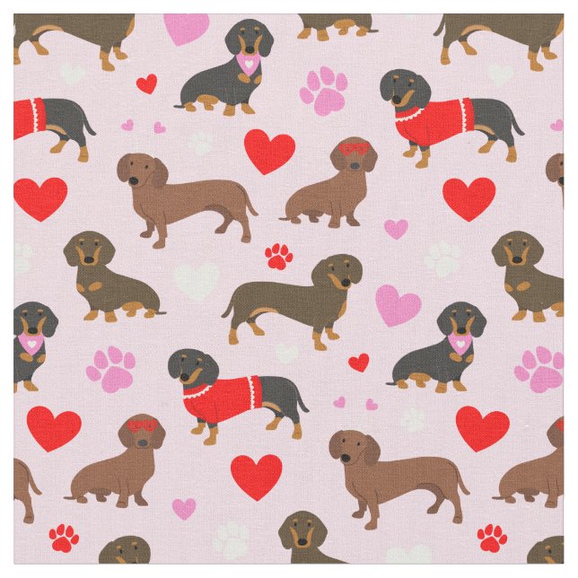 Tela Dachshund Valentine (De cerca)