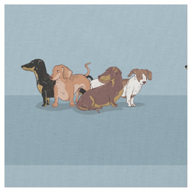 Tela Dachshunds (De cerca)