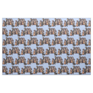Tela Dachshunds en azul