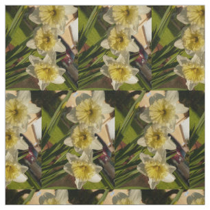 Tela daffodil para primavera