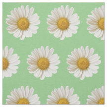Daisies blancos sobre la flor verde sabia