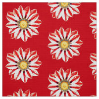 Daisy africano / Gazania - Tirada roja y blanca