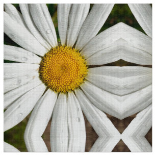 Tela Daisy Dew