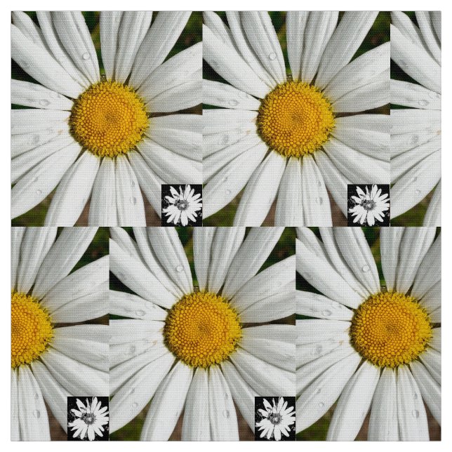 Tela Daisy Fun (Retal)