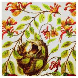 Tela de alegría de colibrí