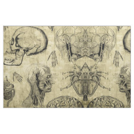 Tela de Anatomía Vintage