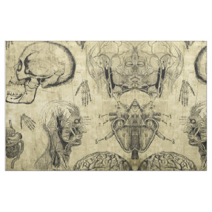 Tela de Anatomía Vintage