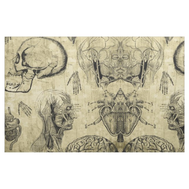 Tela de Anatomía Vintage ("Cuarto gordo" (fat quarter))
