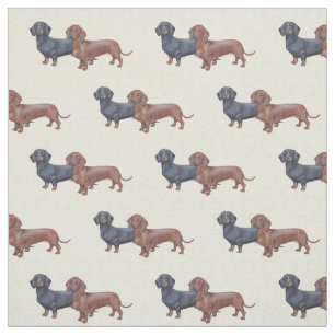 Tela de arte de perro de Dachshund