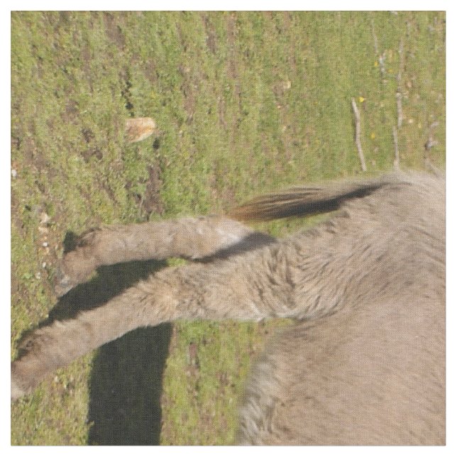 Tela de burro y vaca (De cerca)