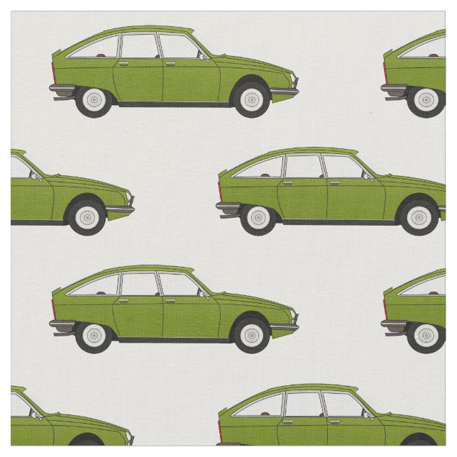 Tela de Citroen GS (De cerca)