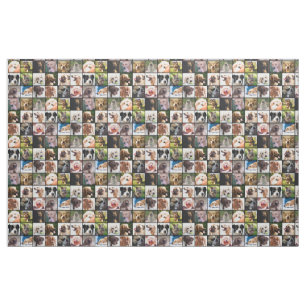Tela de Collage de fotos de perros pequeños y dive