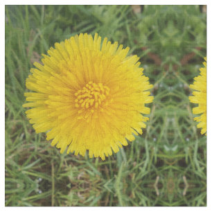 Tela de Dandelion