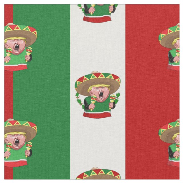 tela de donald trump mexicana (De cerca)
