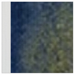 Tela de fondo de fotografía con hoja dorada negra
