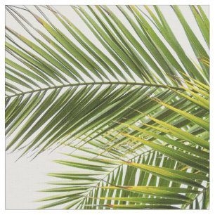tela de hojas de palmera tropical moderna