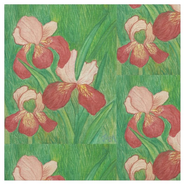 tela de Iris (De cerca)