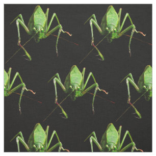 Tela de Katydid