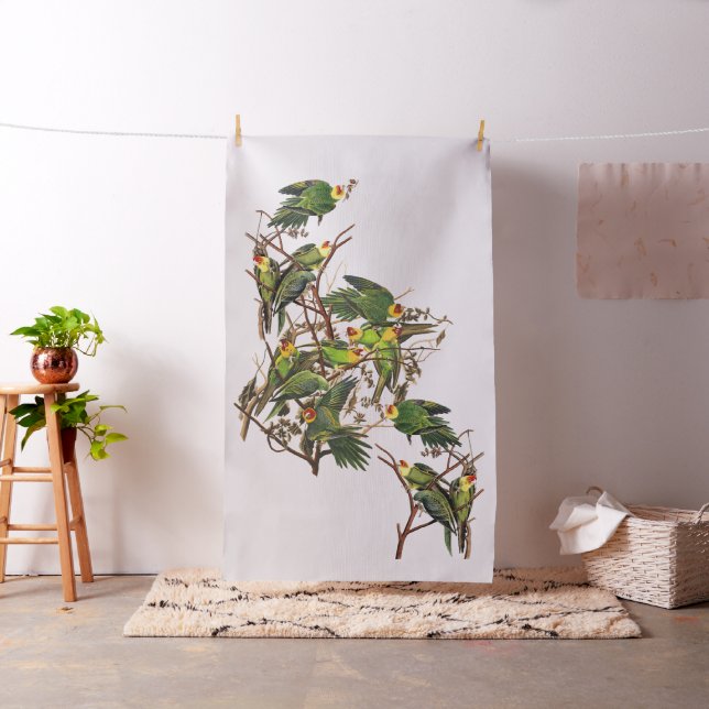 Tela de la fauna de los pájaros del loro de (In Situ)