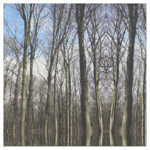 Tela de la foto del bosque del invierno