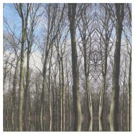 Tela de la foto del bosque del invierno